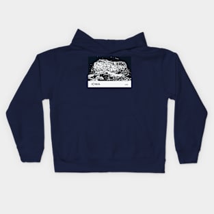 Iowa USA Kids Hoodie